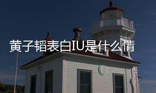 白I黄子 黄的吗喜欢韬表子韬情况U是什么是真